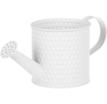 Kovová krhla s rúčkou a sprchovou hlavicou