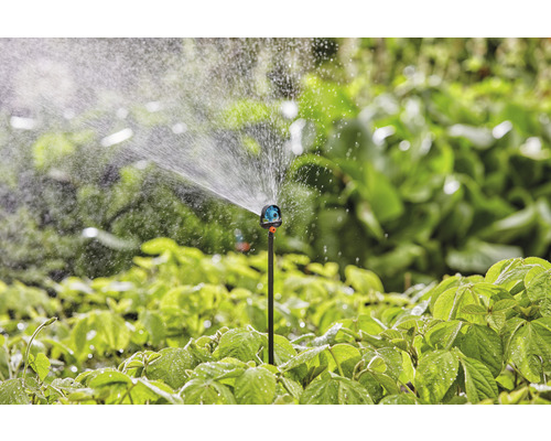 Záhradná scéna s trávnikovým postrekovačom zavlažujúcim rastliny