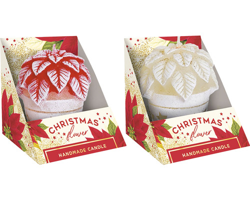 Sviečka VIANOČNÁ HVIEZDA 7 cm 95 g 1 ks, rôzne farby Dve vianočné sviečky v tvare kvetiny v obale produktu