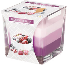 Vonná sviečka Frozen Berries v skle