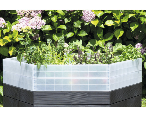 Vyvýšený záhon s rastlinami v záhrade