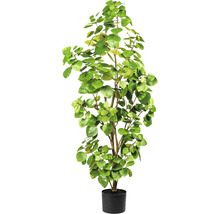 Umelý eukalyptus 120 cm v plastovom kvetináči 15x12 cm
