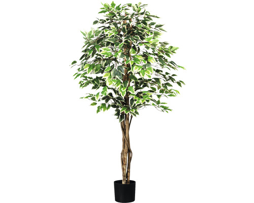 Umelá rastlina fikus drobnolistý Ficus benjamina 150 cm zeleno-biely 840 listov prírodný kmeň v kvetináči 16 x 14 cm