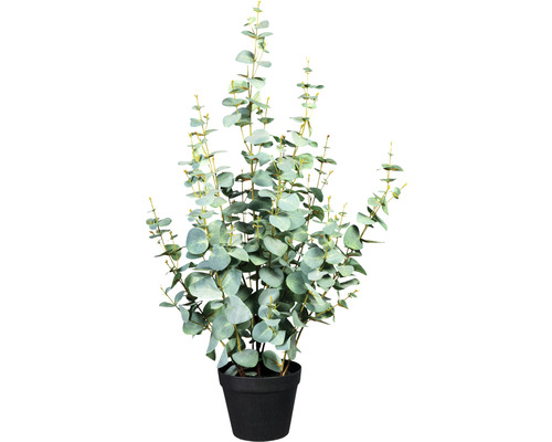 Umelá rastlina eukalyptus Silver dollar 385 listov cca 80 cm zelenosivá v plastovom kvetináči 15 x 13 cm