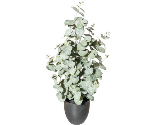 Umelá rastlina eukalyptus cca 60 cm zelenosivá v plastovom kvetináči 13,5 x 13 cm so zeminou