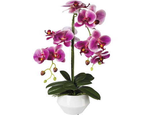 Umelá orchidea phalaenopsis v keramickom kvetináči 52 cm fuksiová Real Touch