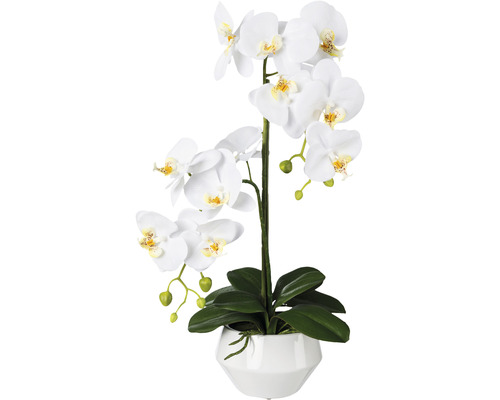 Umelá orchidea phalaenopsis 52 cm biela v keramickom kvetináči Real Touch