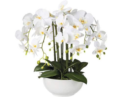 Umelá orchidea phalaenopsis 54 cm biela v keramickej miske Real Touch