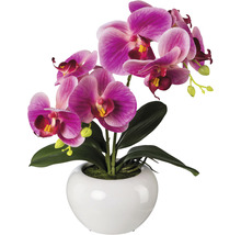 Orchidea v bielom kvetináči