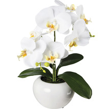 Umelá orchidea v bielom kvetináči