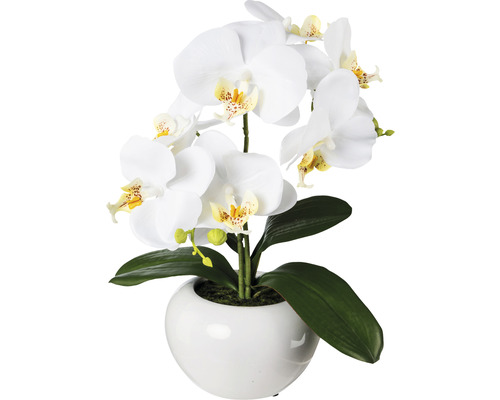 Umelá orchidea phalaenopsis 35 cm biela v keramickom kvetináči Real Touch