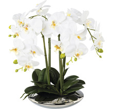 Umelá biela orchidea v kvetináči