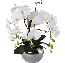 Dekoratívna biela orchidea v striebornej váze