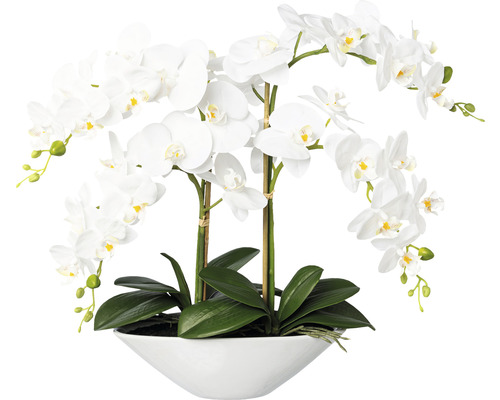 Umelá orchidea phalaenopsis 53 cm biela Real Touch v keramickej bielej miske 30,5x14x9,5 cm Dekoratívna biela orchidea v kvetináči