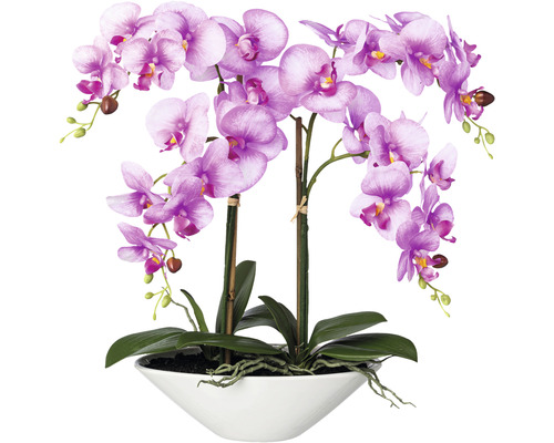 Umelá orchidea phalaenopsis 53 cm ružovo-fialová v keramickej miske 30,5 x 14 x 9 ,5 cm Real Touch Umelá orchidea v bielom kvetináči