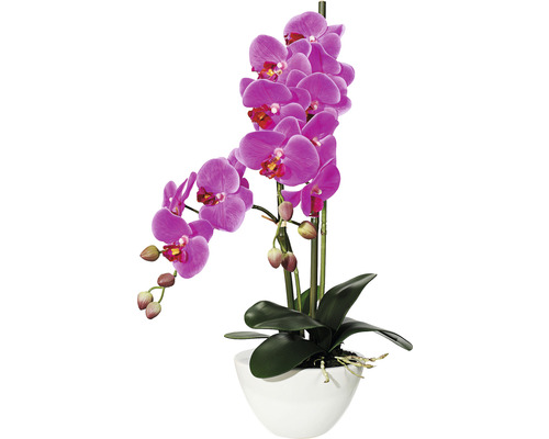 Umelá orchidea phalaenopsis 50 cm lila v bielej keramickej miske 14,5 x 8,5 cm Real Touch Orchidea v bielom kvetináči