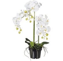 Umelá biela orchidea v kvetináči ako dekorácia