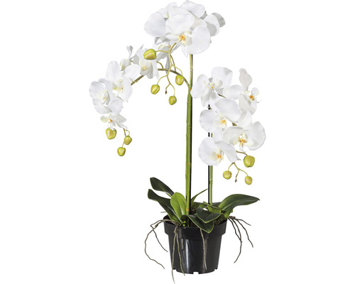 Umelá orchidea phalaenopsis 62 cm biela v plastovom kvetináči 15 cm