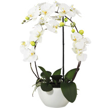 Dekoratívna orchidea v bielom kvetináči