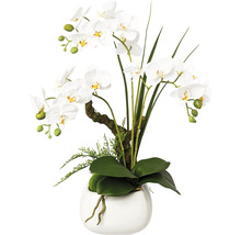 Umelá orchidea v kvetináči na dekoráciu