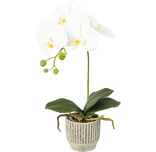 Umelá orchidea v kvetináči ako dekorácia