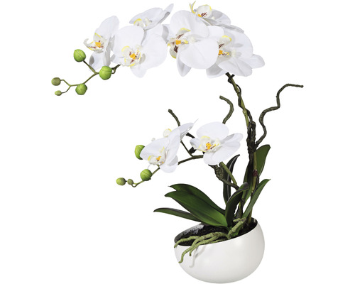 Umelá orchidea phalaenopsis 42 cm biela v keramickej miske Real Touch