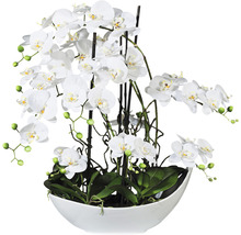 Dekoratívna orchidea v miske ako dekorácia stola