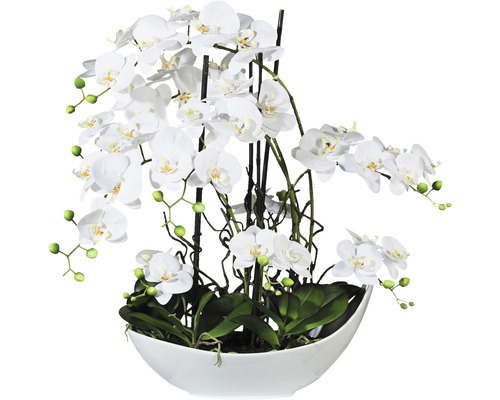Umelá kvetina orchidea phalaenopsis aranžmán 68 cm biela v bielej keramickej miske 45 x 25 cm Real Touch