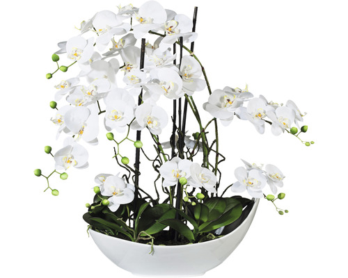 Umelá kvetina orchidea phalaenopsis aranžmán 68 cm biela v bielej keramickej miske 45 x 25 cm Real Touch Umelá kvetina orchidea phalaenopsis aranžmán 68 cm biela v bielej keramickej miske 45 x 25 cm Real Touch