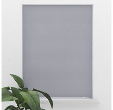 Sivá roleta pred oknom s izbovou rastlinou