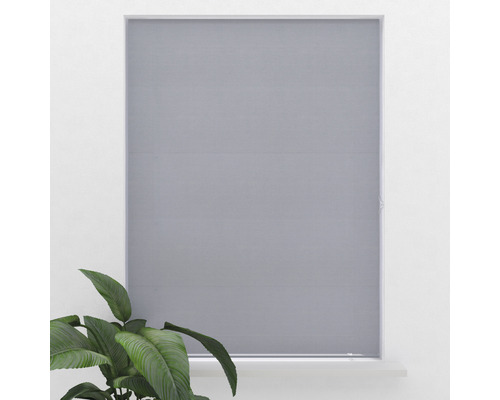 Sivá roleta pred oknom s izbovou rastlinou