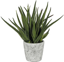 Umelá rastlina Aloe Vera v kvetináči