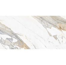 Dlažba imitácia mramoru Carara Gold 60 x 120 cm