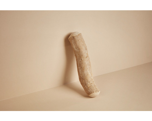 Kus naplaveného dreva opretý o stenu