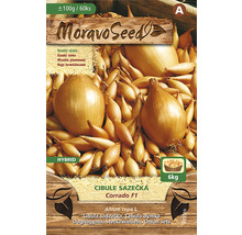 Moravo Seed Cibuľa sadzačka Corrado F1 balenie