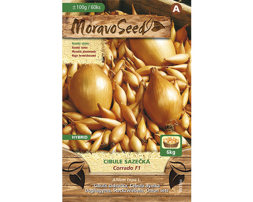 Cibuľa sadzačka CORRADO F1 MoravoSeed 100 g 8-16 mm