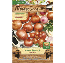 Moravo Seed Šalotka Red Sun balenie