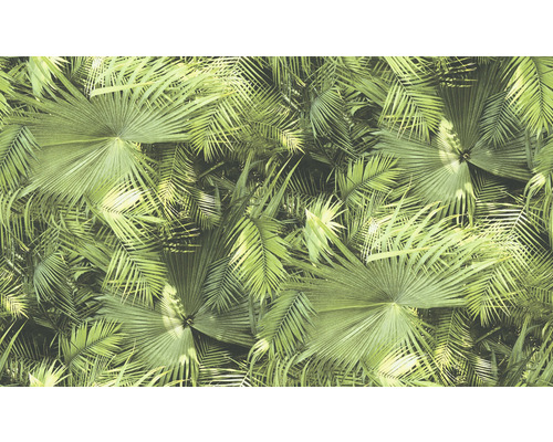Samolepiaca tapeta na stenu 38054-1 Prírodná 8,40 x 0,53 m Tapeta s palmovým vzorom