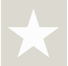 Symbol hviezdy