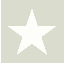 Symbol hviezdy