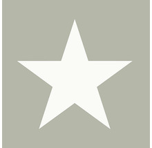 Symbol hviezdy