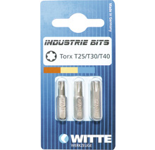 Bit WITTE 1/4" T25 / 30 / 40, 25 mm 3 ks-thumb-1
