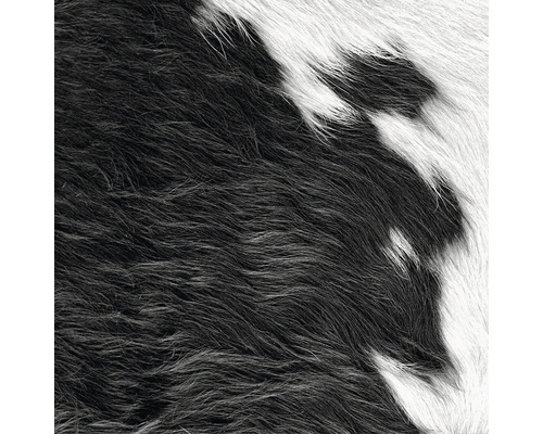 Fototapeta vliesová 357241 S koženým vzhľadom 0,5x9 m Detail čiernej a bielej zvieracej srsti.