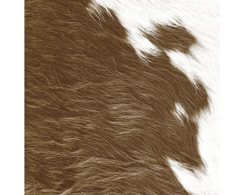 Fototapeta vliesová 357242 S koženým vzhľadom 0,5x9 m Detail hnedo-bieleho koberca z kravskej kože.