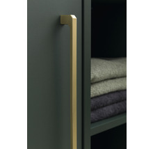 Dvere skrine s dlhou zlatou rukoväťou