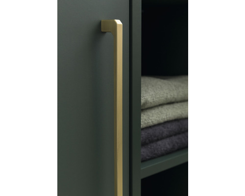 Dvere skrine s dlhou zlatou rukoväťou