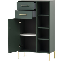 Zelená skrinka so zásuvkami, dvierkami a policami