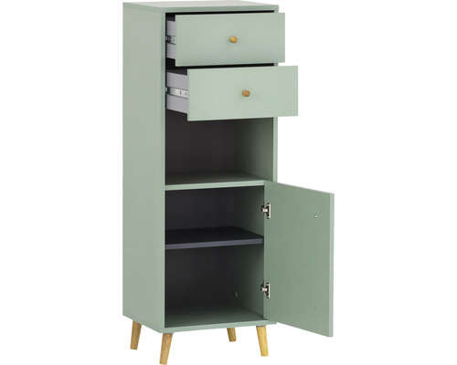 Úzka skrinka s dvomi zásuvkami, jednými dvierkami a dvomi policami