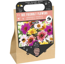 Cibuľoviny, kvety priateľské k včelám, zmes Maya, 3 kusy