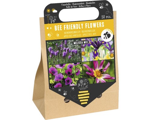 Cibuľoviny 'Kvety vhodné pre včely Melissa' 50 ks